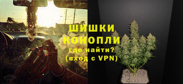 трава Новосибирск